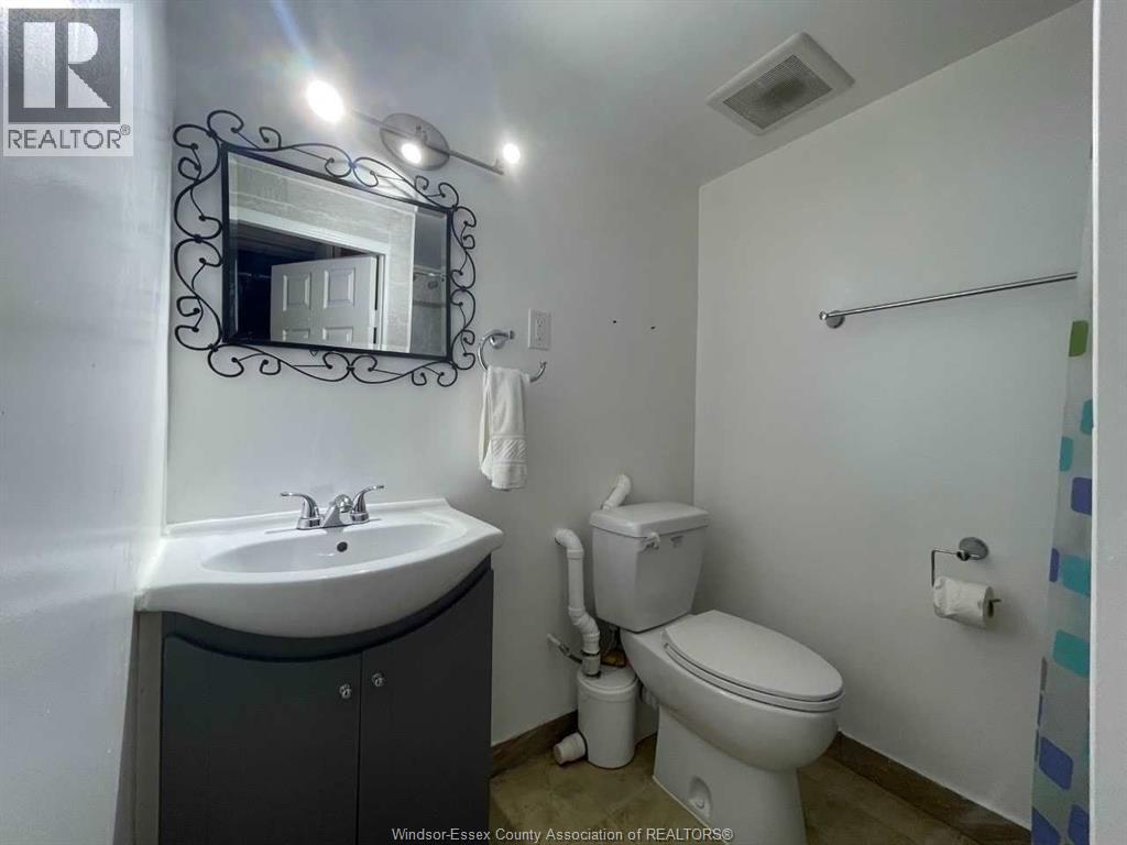 330 Elliott Avenue, Windsor, ON - Indoor Photo Showing Bathroom
