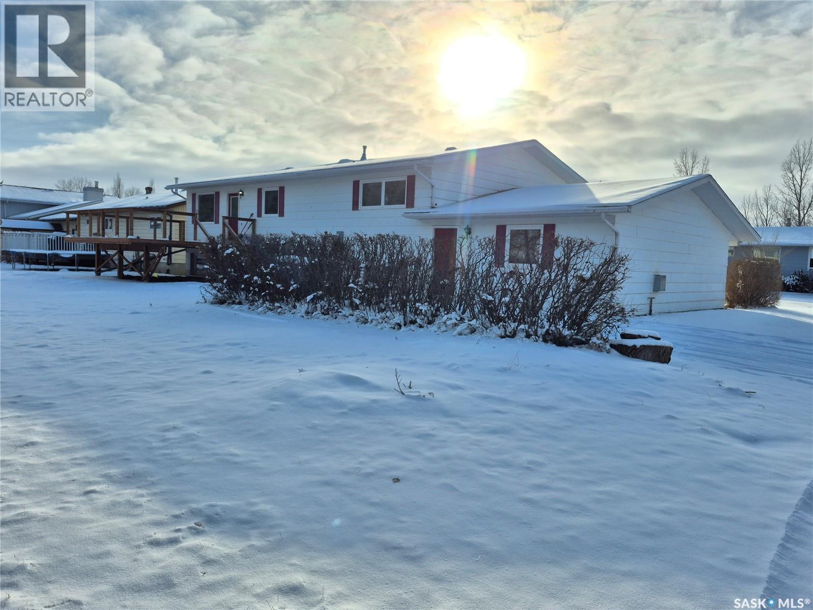 725 Shropshire Avenue, Radville, SK - Outdoor