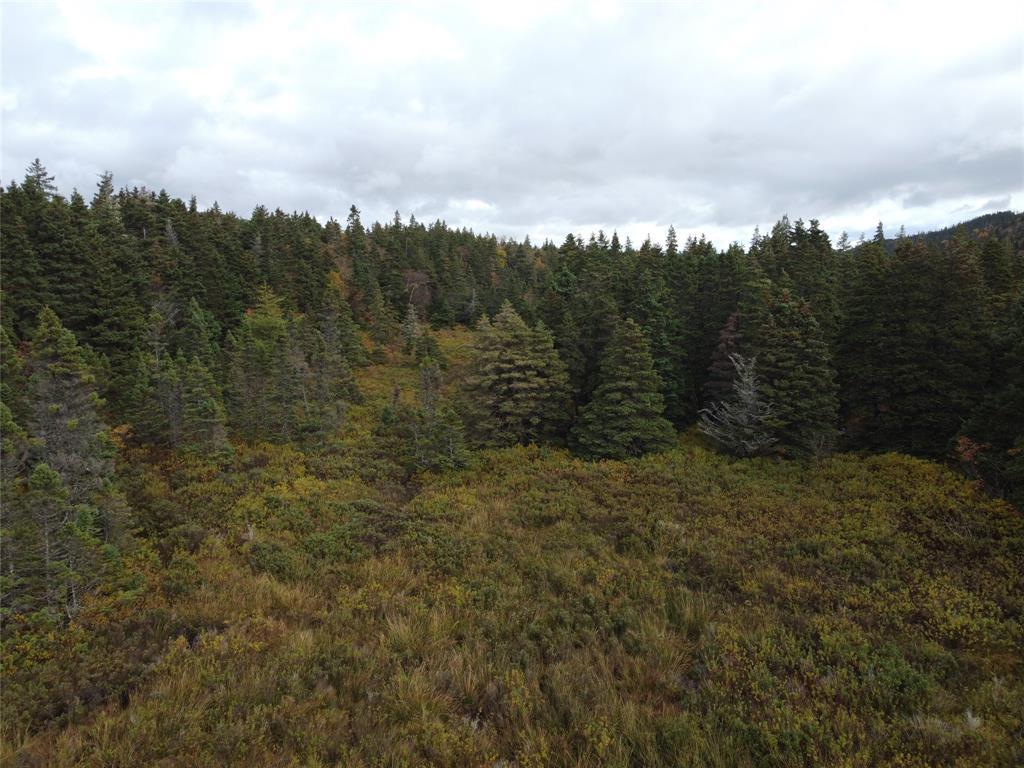 289 North River Road, North River, NL