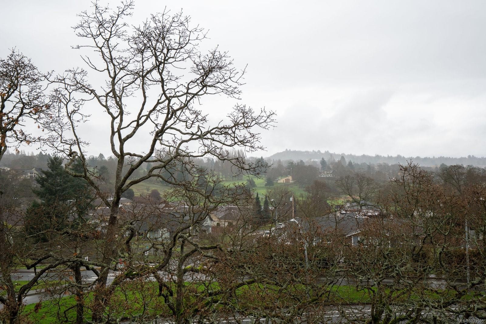 5-1356 Slater St, Saanich, BC