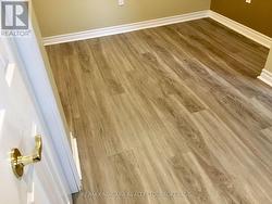 Colonial Trim Freshly painted -