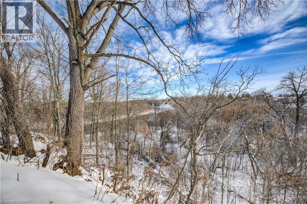 Snowy landscape - 54 Roos Street, Kitchener, ON