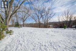 View of snowy yard -