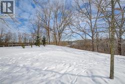 View of snowy yard -