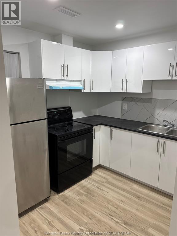 1383 Helsinki Court Unit# Lower, Windsor, ON - Indoor Photo Showing Kitchen