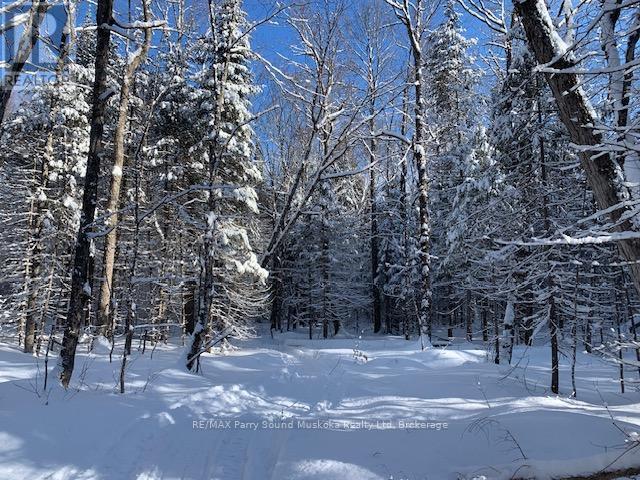 372 Mcdougall Road, Mcdougall, ON