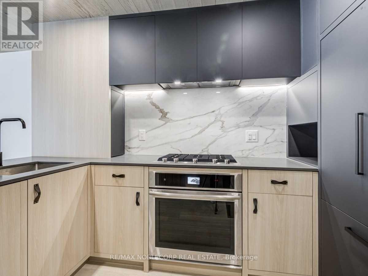 102 - 45 Dovercourt Road, Toronto, ON - Indoor Photo Showing Kitchen With Upgraded Kitchen