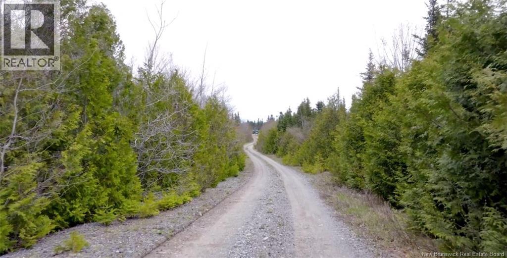 Driveway View - Downeast Drive, Rothesay, NB