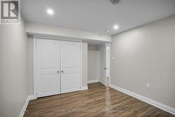 Lower Level - Bedroom 5 with walk in Closet -