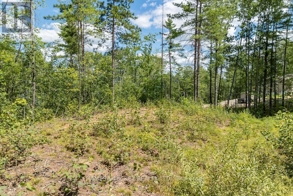 00 Mcanulty Road, Deep River, ON