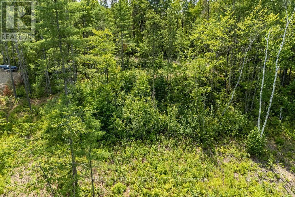 00 Mcanulty Road, Deep River, ON