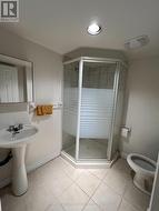 Basement Washroom -