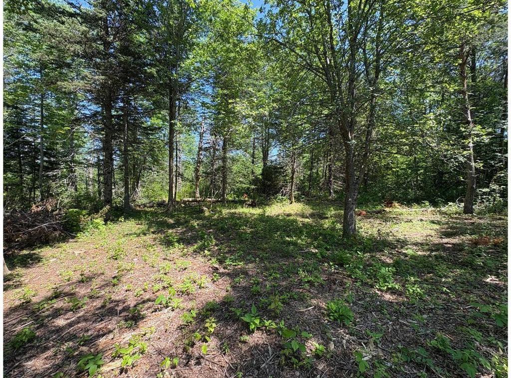 6908 Highway 12, Aldersville, NS