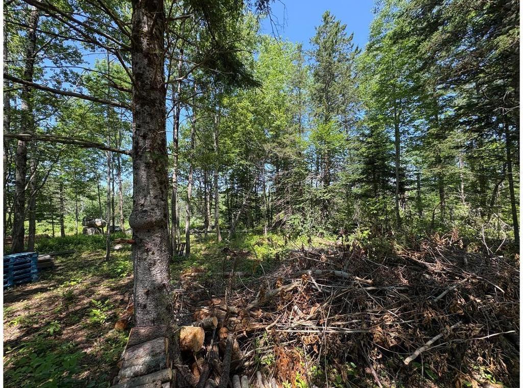 6908 Highway 12, Aldersville, NS