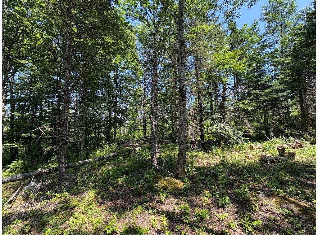 6908 Highway 12, Aldersville, NS