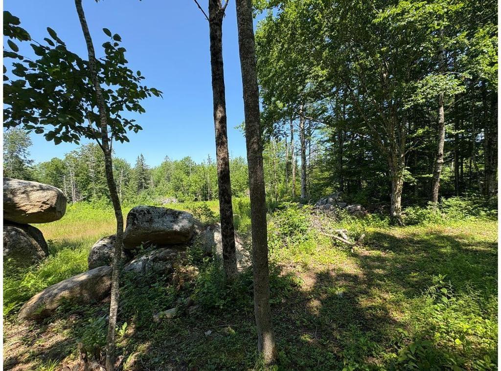 6908 Highway 12, Aldersville, NS