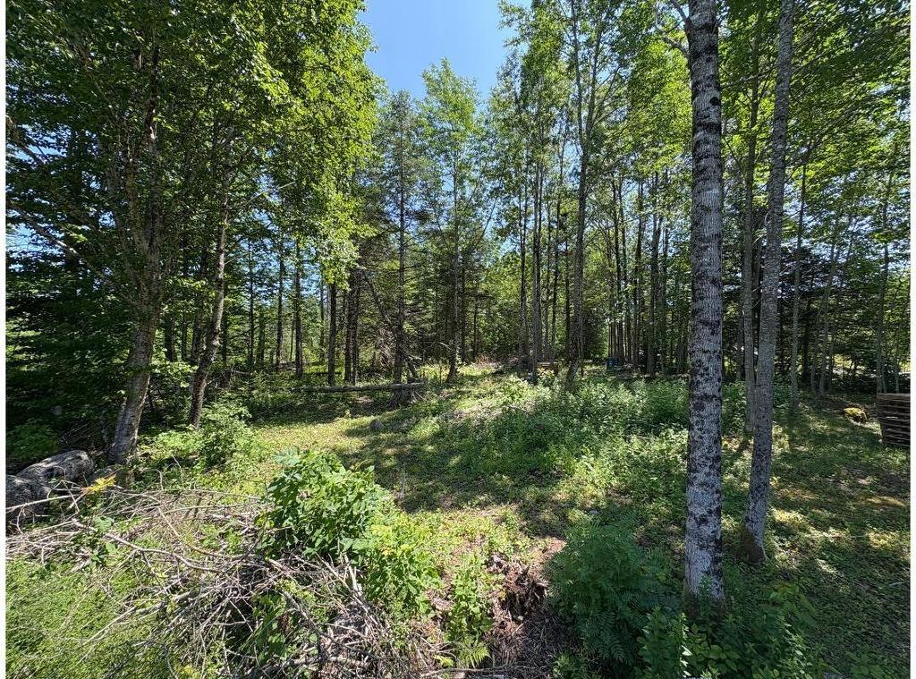 6908 Highway 12, Aldersville, NS