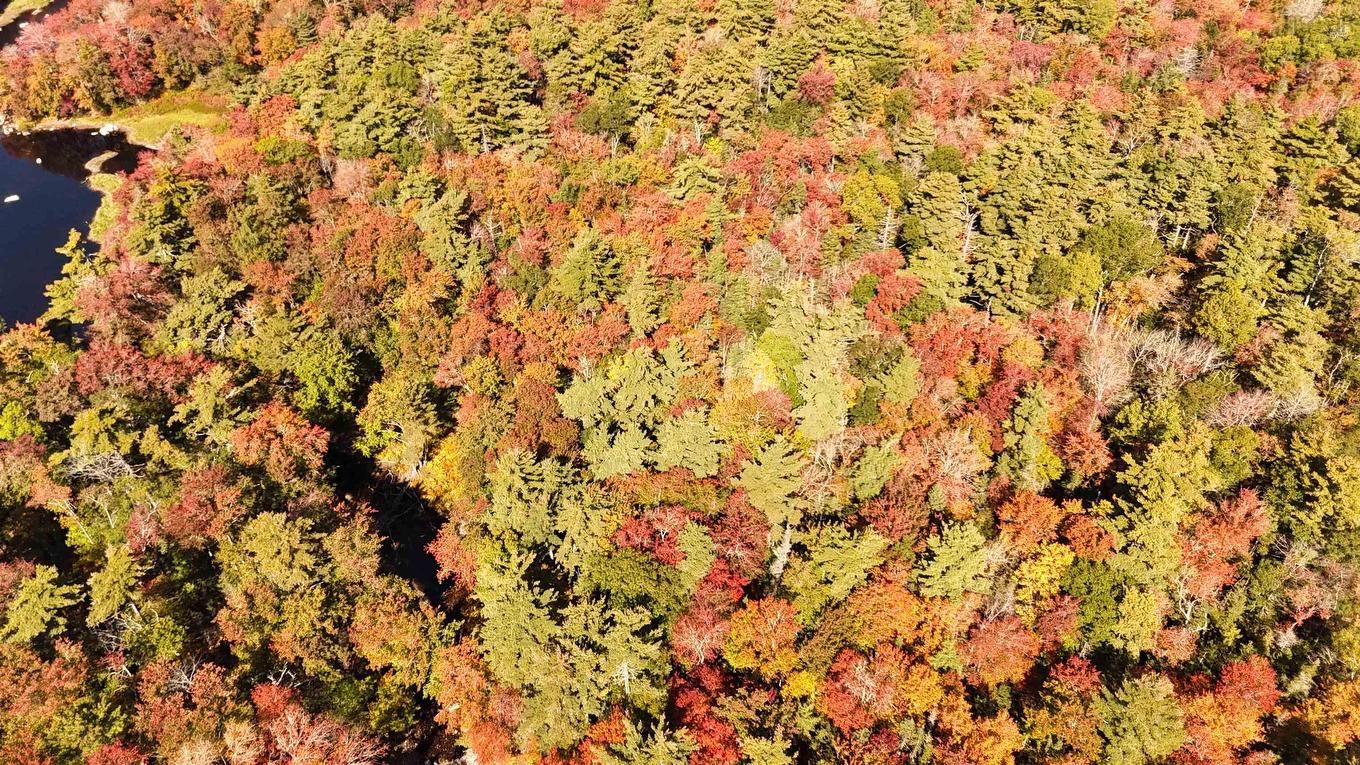 Lot Br-1 Bowers Road, Lower Ohio, NS