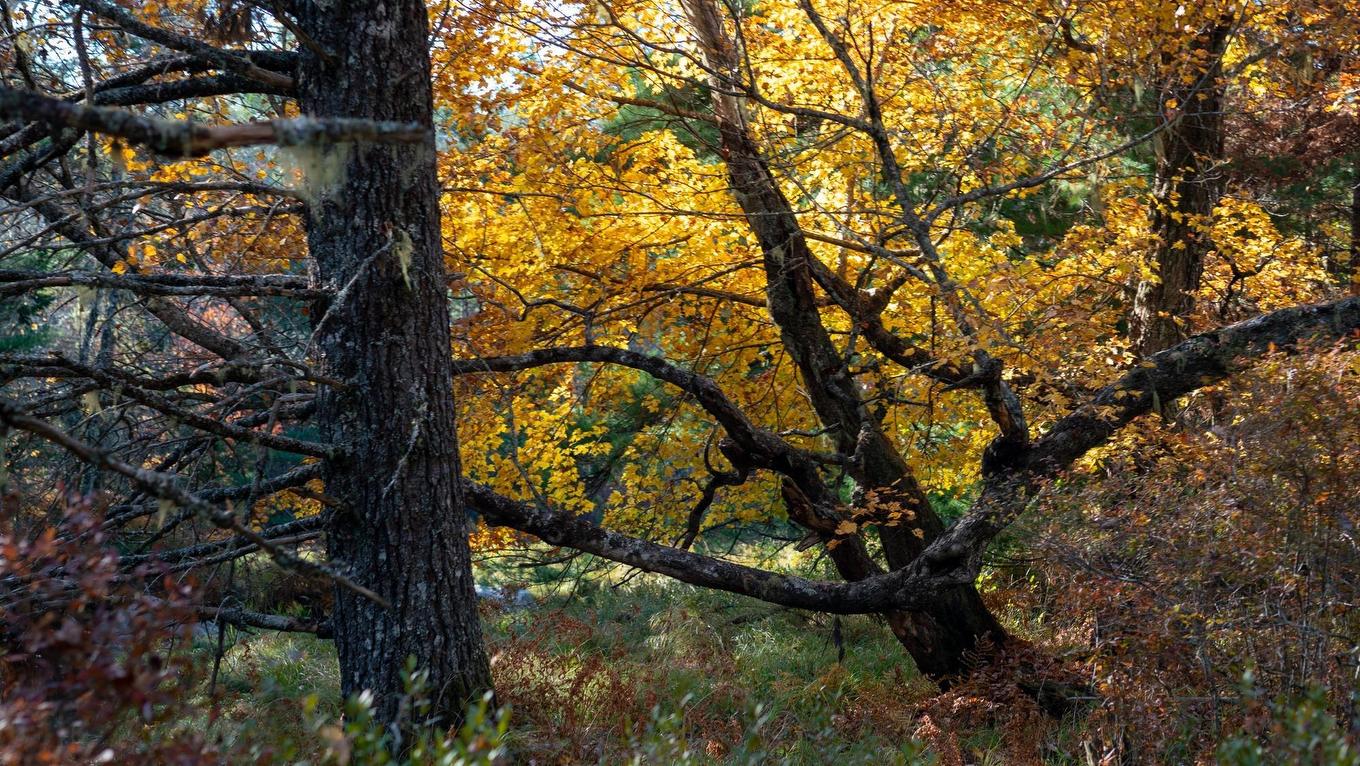 Lot Br-1 Bowers Road, Lower Ohio, NS