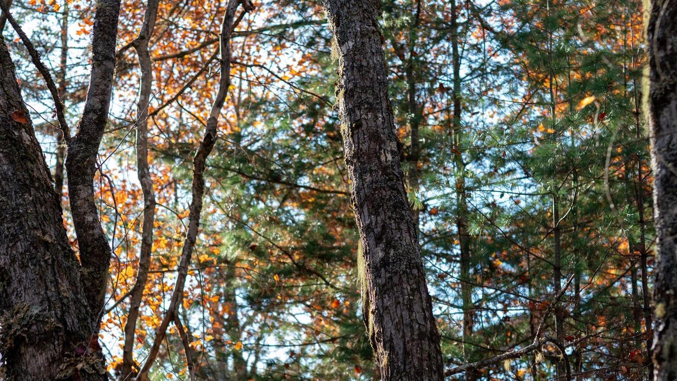 Lot Br-1 Bowers Road, Lower Ohio, NS