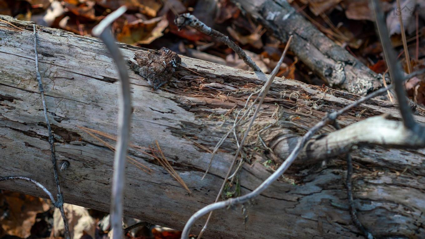 Lot Br-1 Bowers Road, Lower Ohio, NS