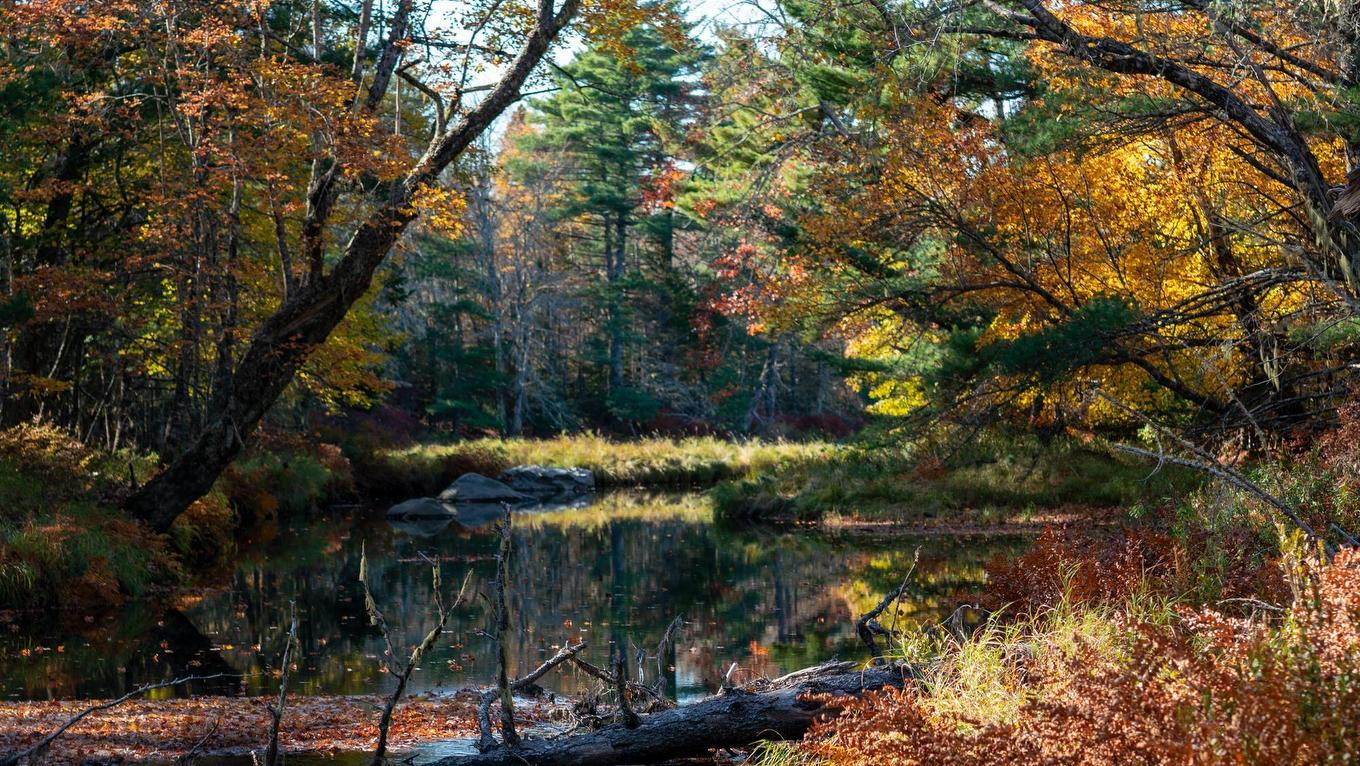 Lot Br-3 Bowers Road, Lower Ohio, NS