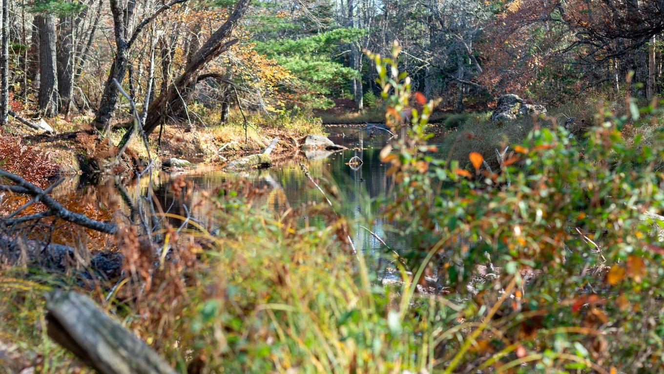 Lot Br-3 Bowers Road, Lower Ohio, NS