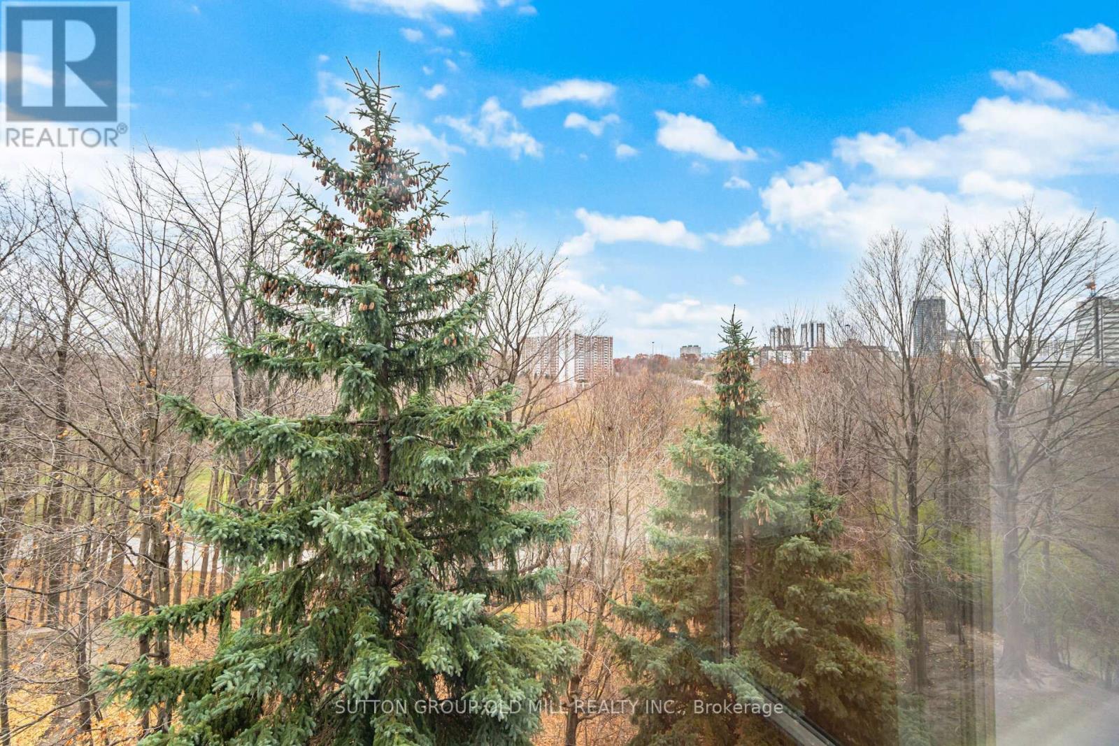 504 - 215 Wynford Drive, Toronto, ON - Outdoor With View