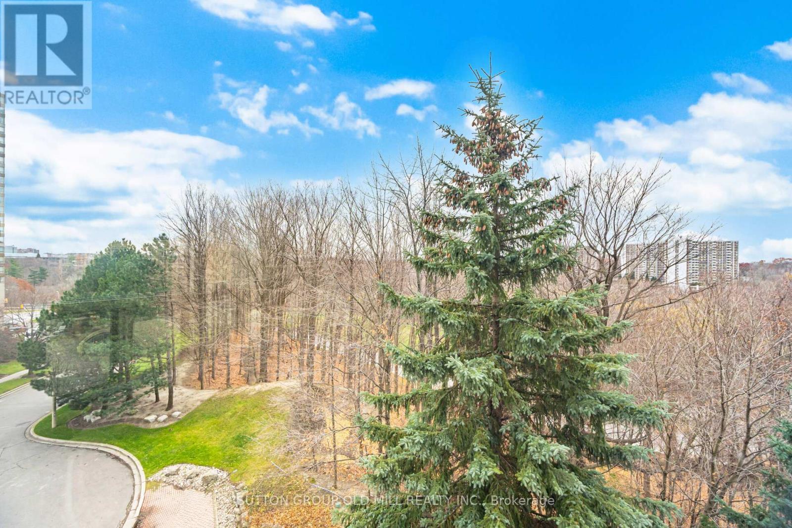 504 - 215 Wynford Drive, Toronto, ON - Outdoor With View