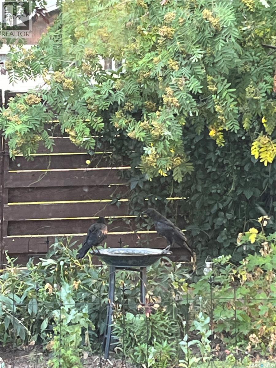 214 Clinton Place, Swift Current, SK - Outdoor