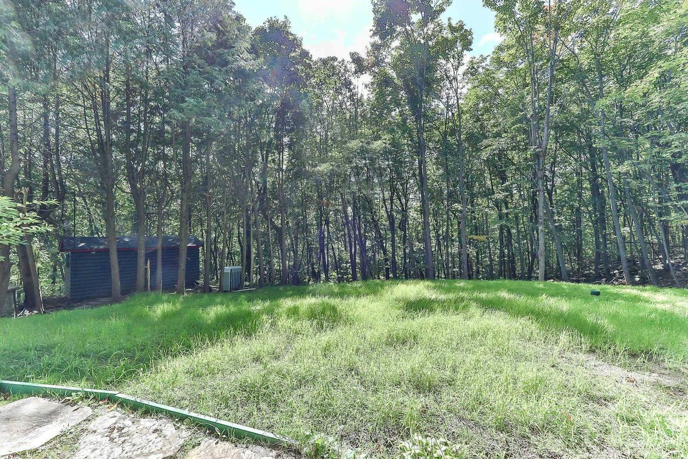 Backyard - 477 Ch. Des Critiques, Montebello, QC - Outdoor