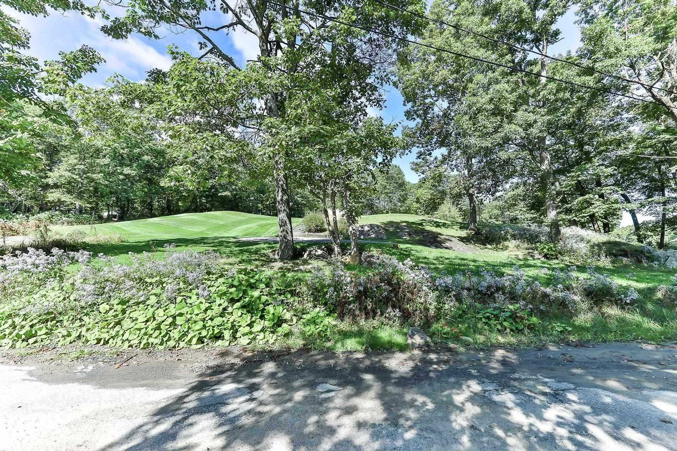 Street - 477 Ch. Des Critiques, Montebello, QC - Outdoor