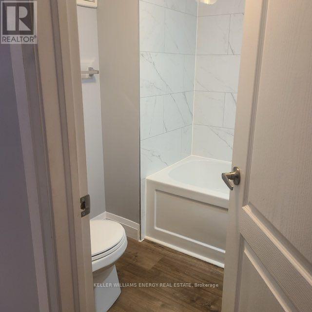 Lower - 454 Drew Street, Oshawa (Central), ON - Indoor Photo Showing Bathroom