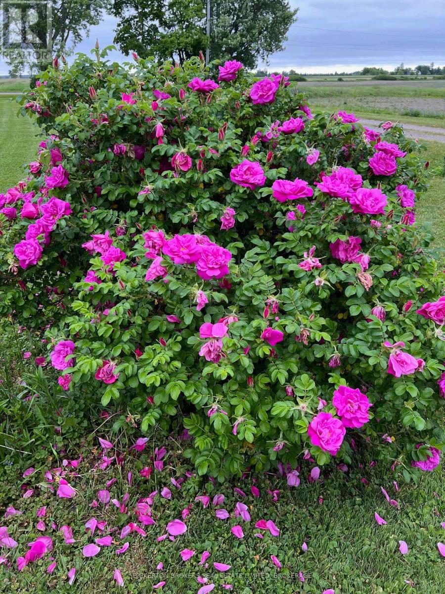 108 Russell Road N, Front Of Leeds & Seeleys Bay, ON - Outdoor