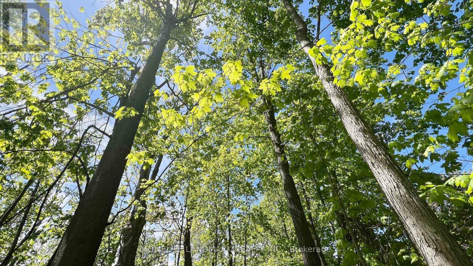 688 7Th Line S, Oro-Medonte, ON - Outdoor With View