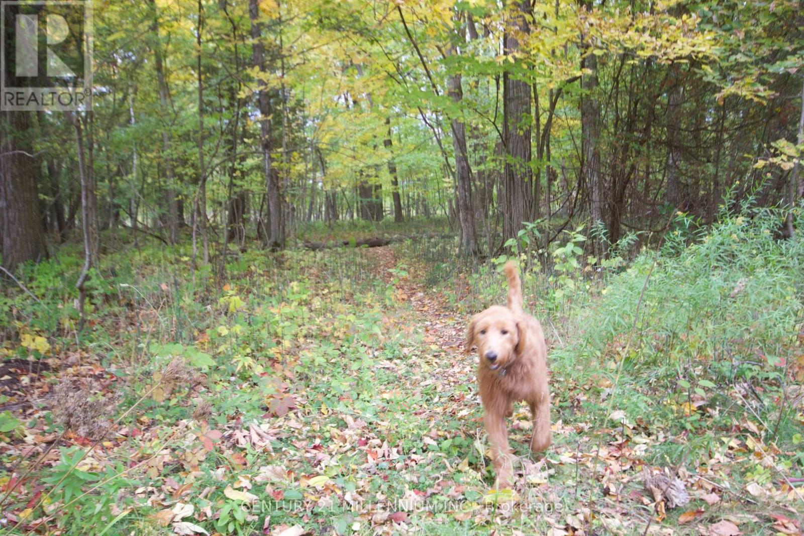 11 Knox Road E, Wasaga Beach, ON