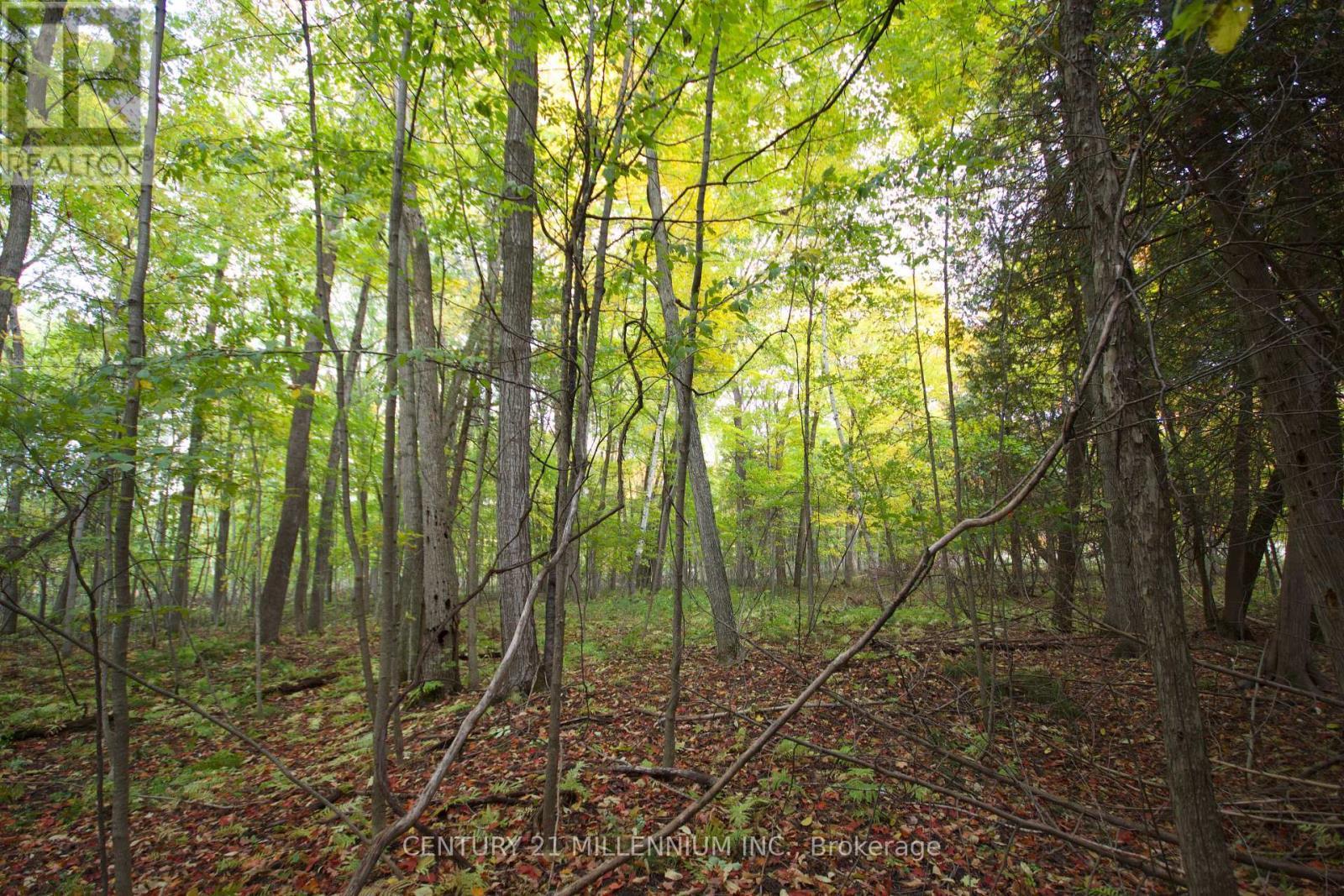 11 Knox Road E, Wasaga Beach, ON