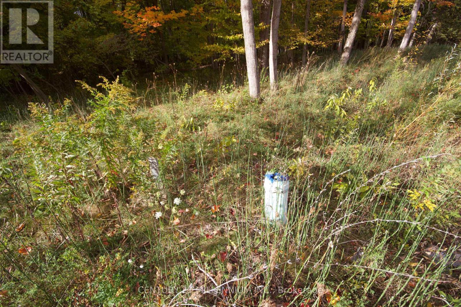 11 Knox Road E, Wasaga Beach, ON