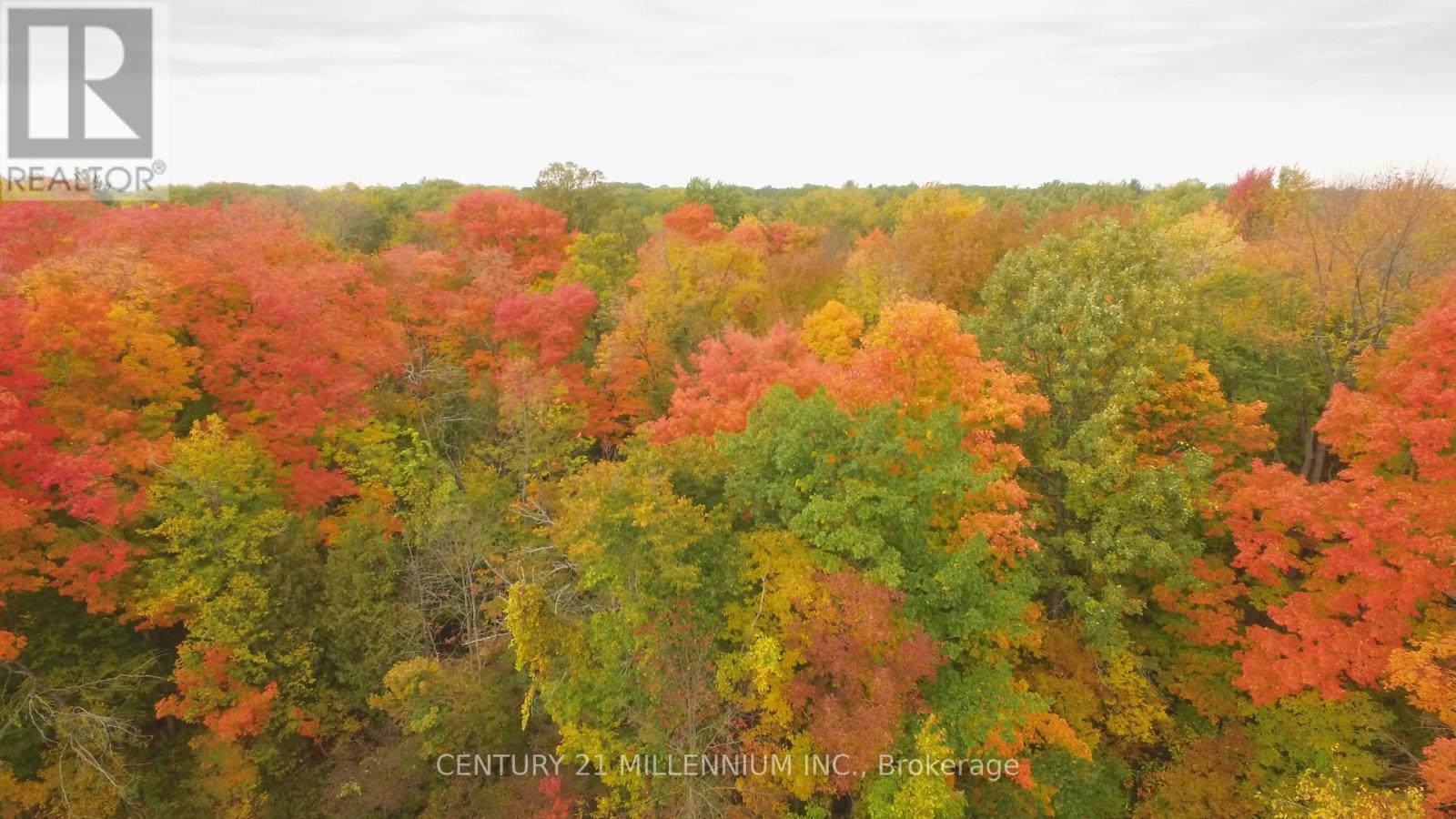 11 Knox Road E, Wasaga Beach, ON