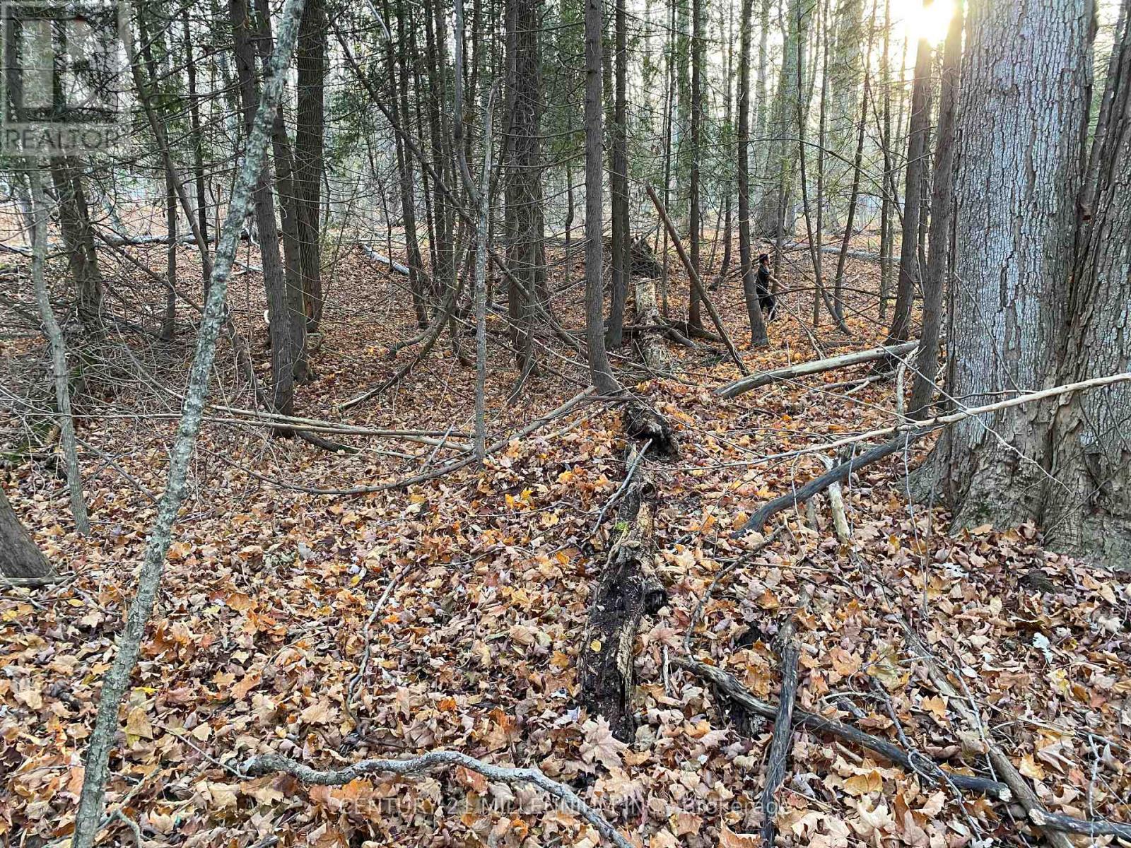 11 Knox Road E, Wasaga Beach, ON