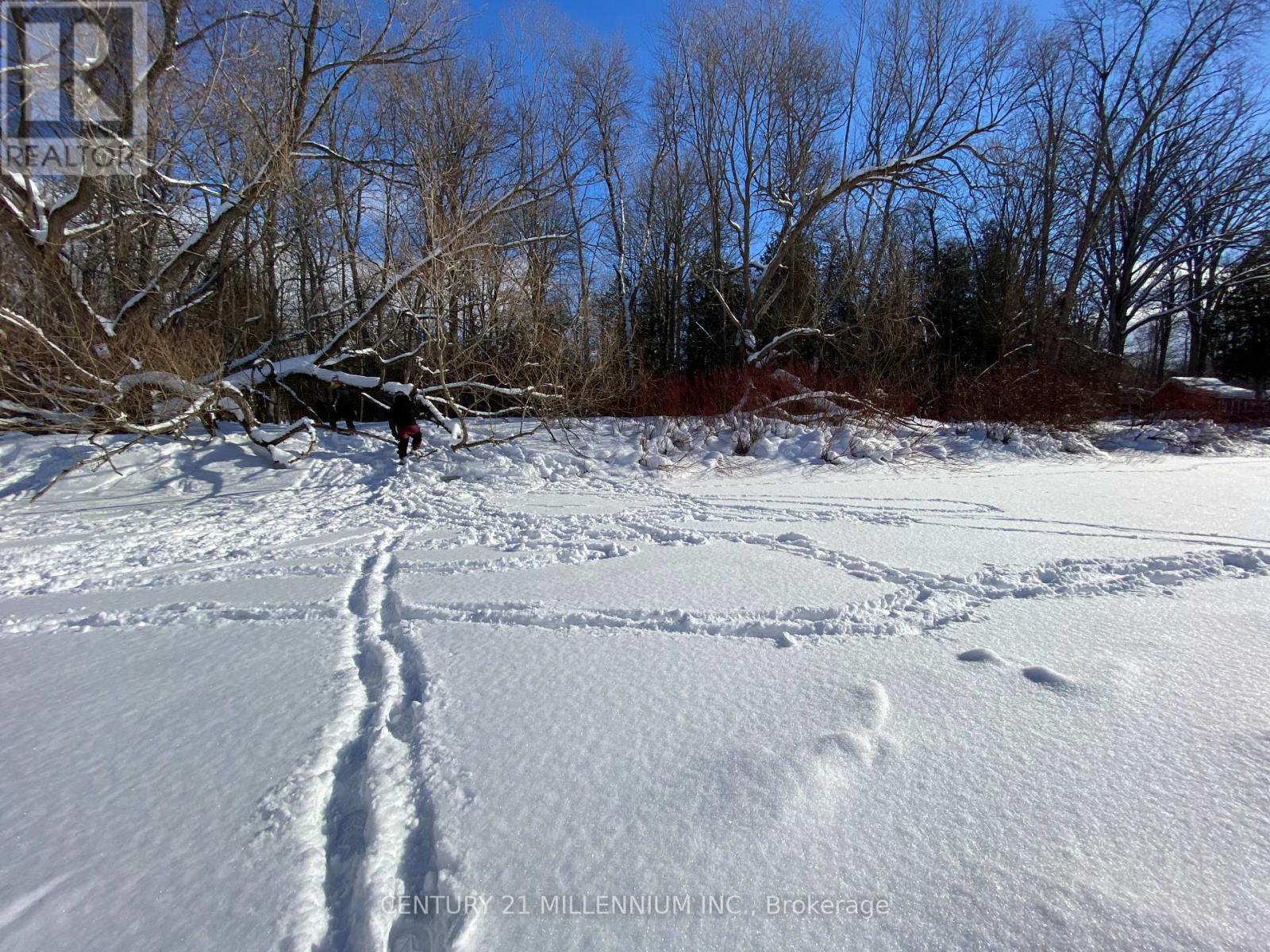 11 Knox Road E, Wasaga Beach, ON