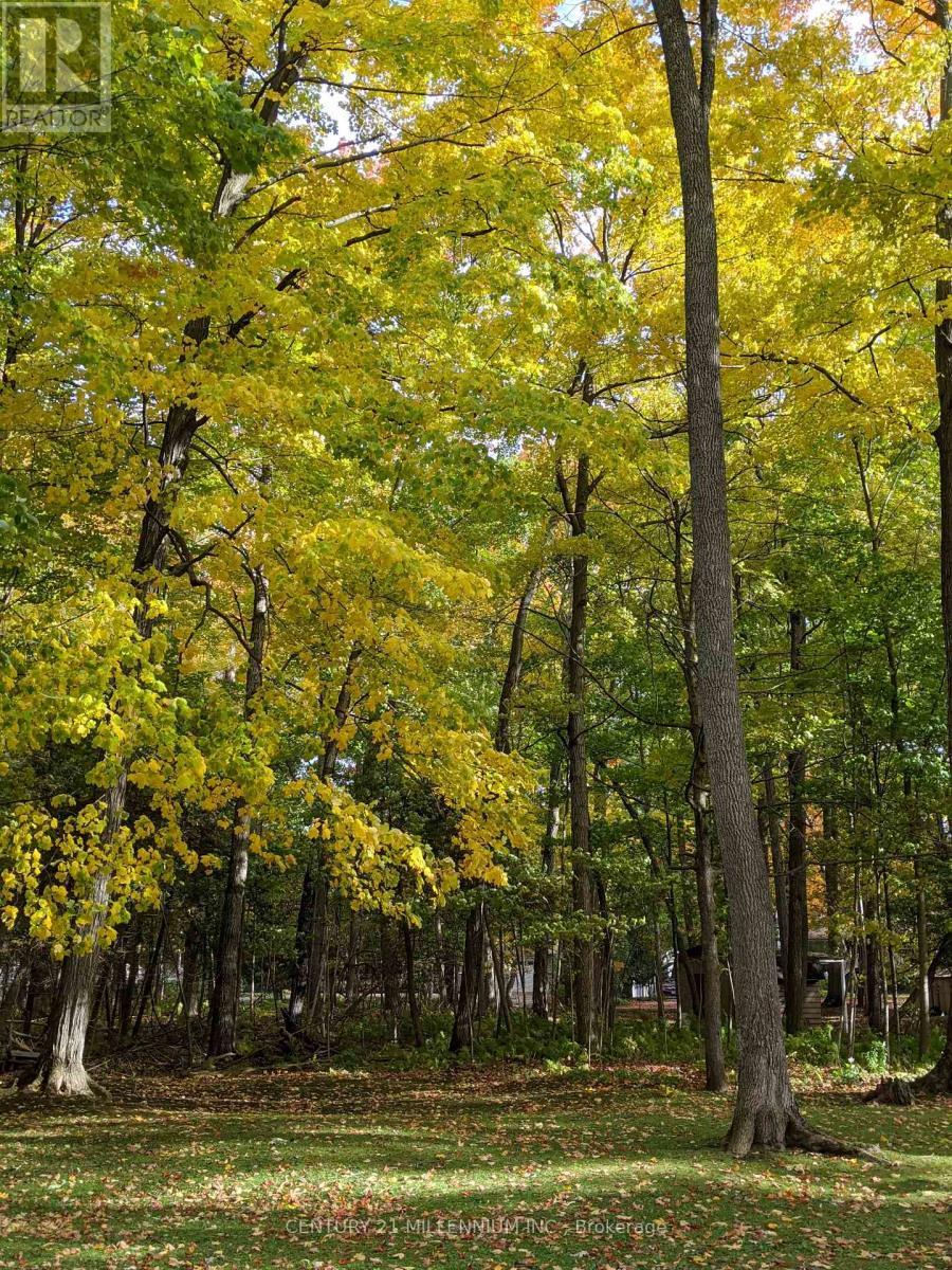 11 Knox Road E, Wasaga Beach, ON