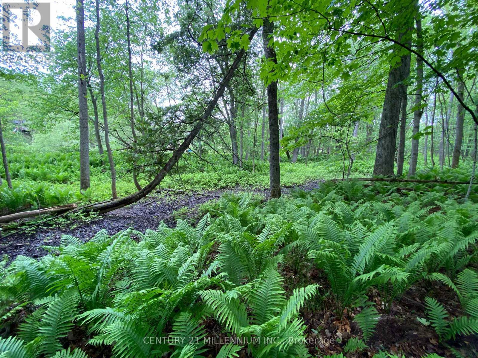 11 Knox Road E, Wasaga Beach, ON