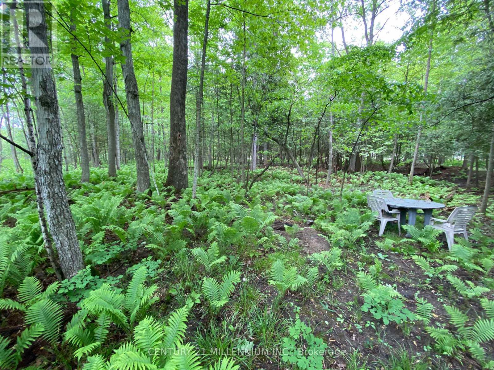 11 Knox Road E, Wasaga Beach, ON