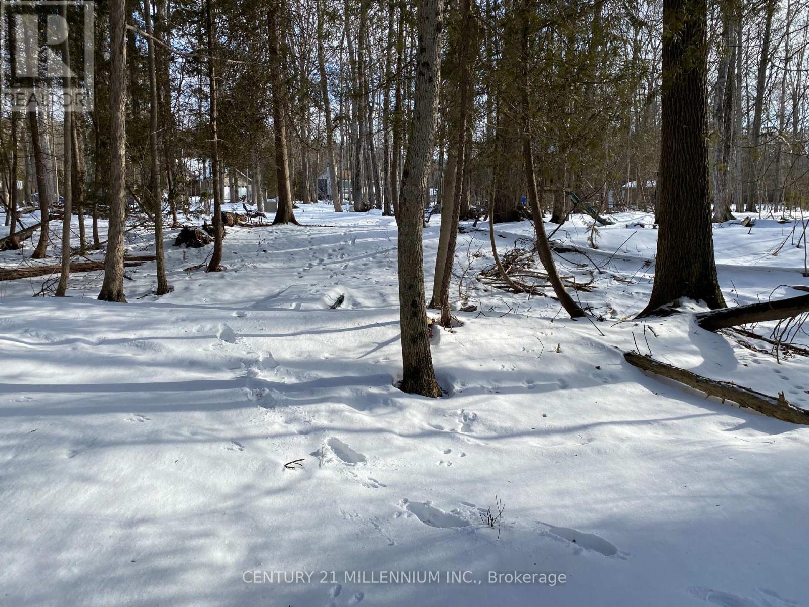 11 Knox Road E, Wasaga Beach, ON