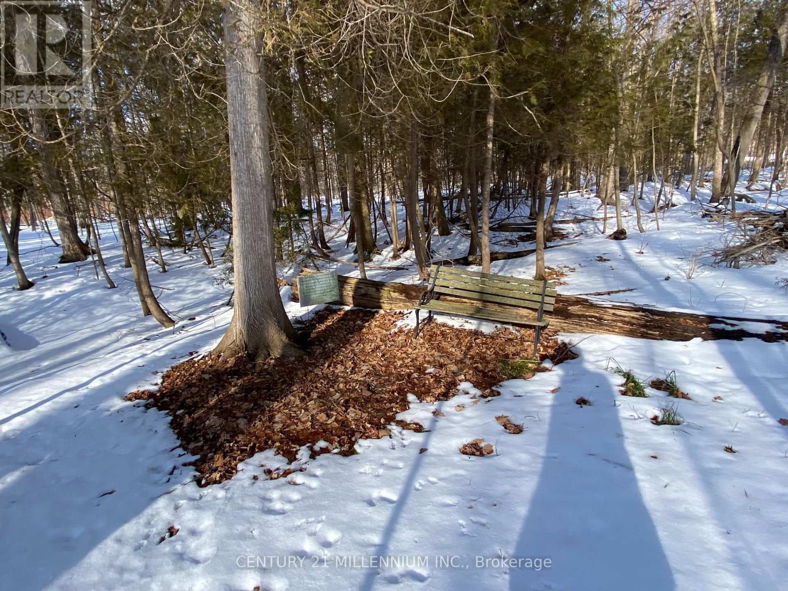 11 Knox Road E, Wasaga Beach, ON