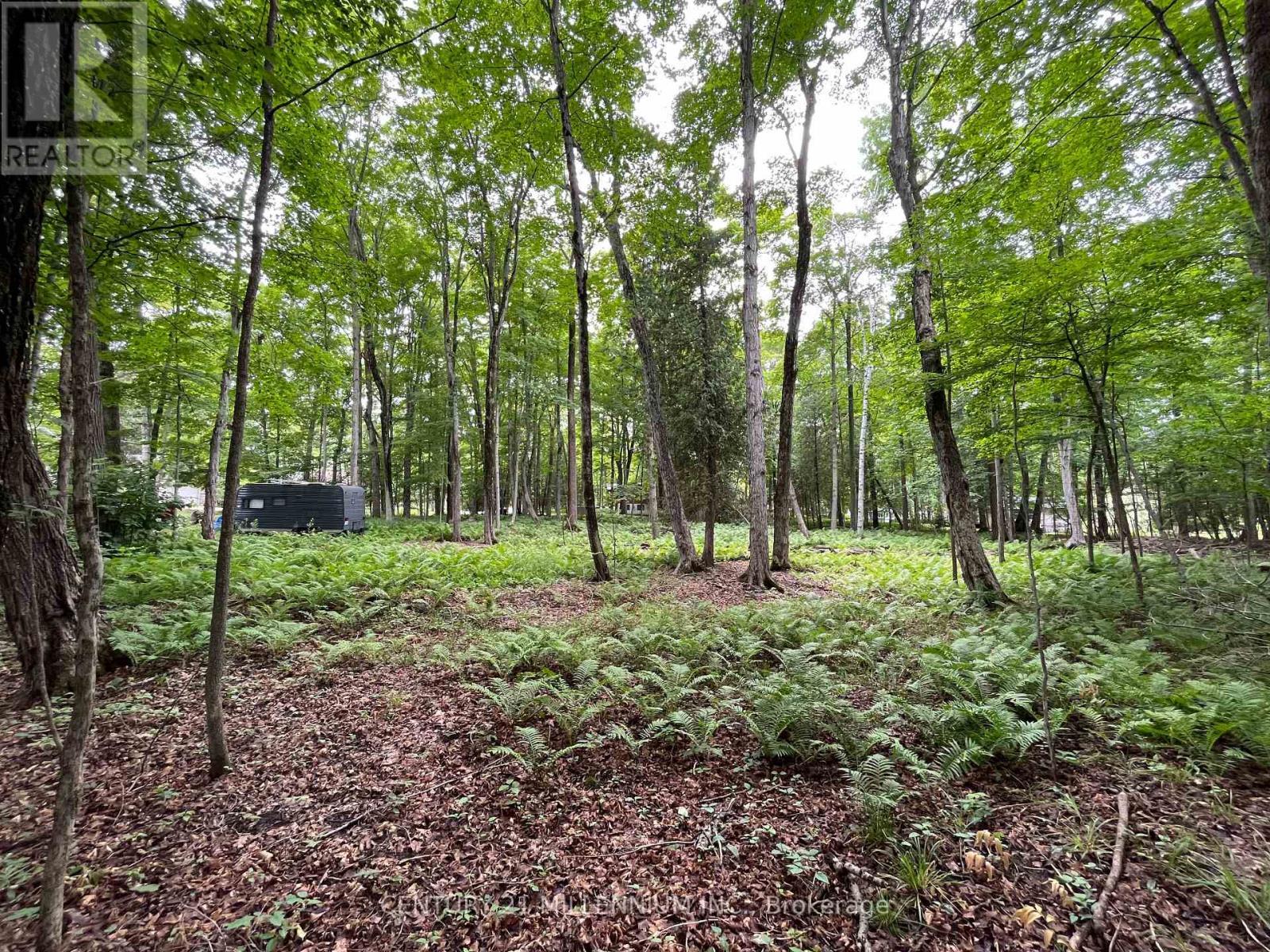 11 Knox Road E, Wasaga Beach, ON