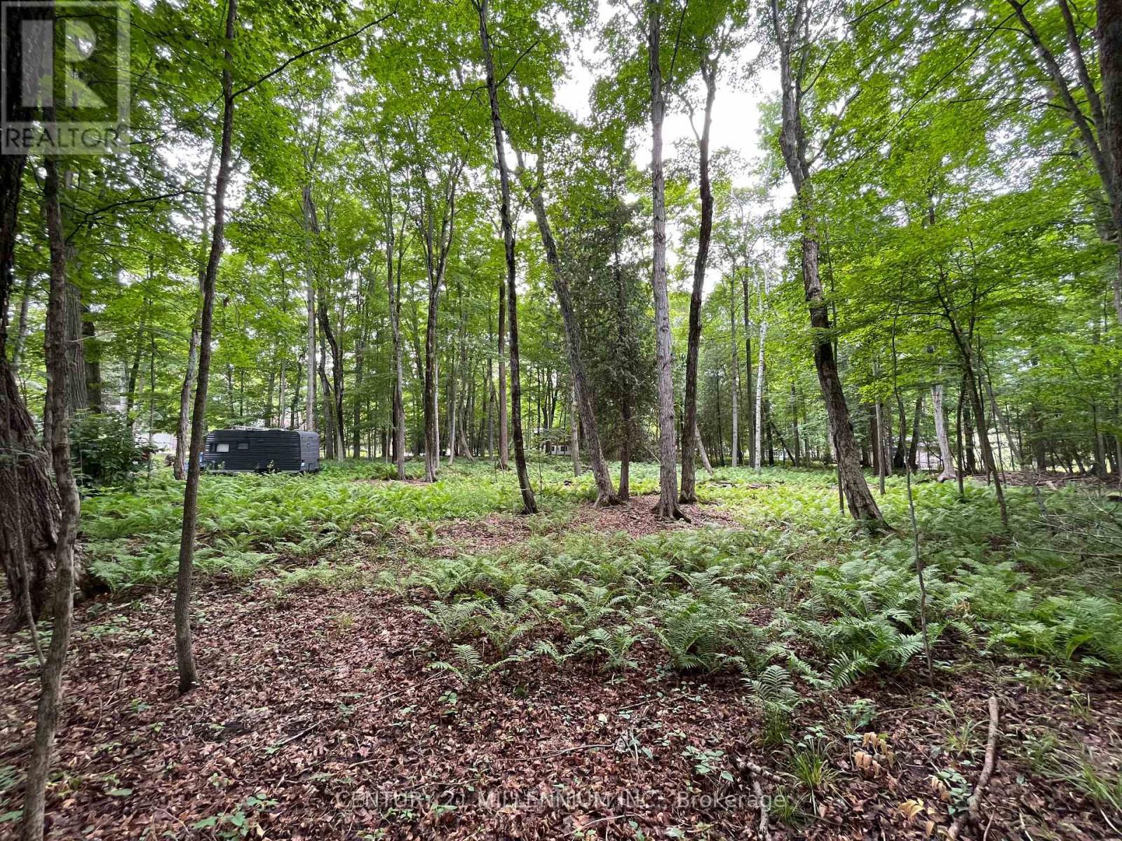 11 Knox Road E, Wasaga Beach, ON