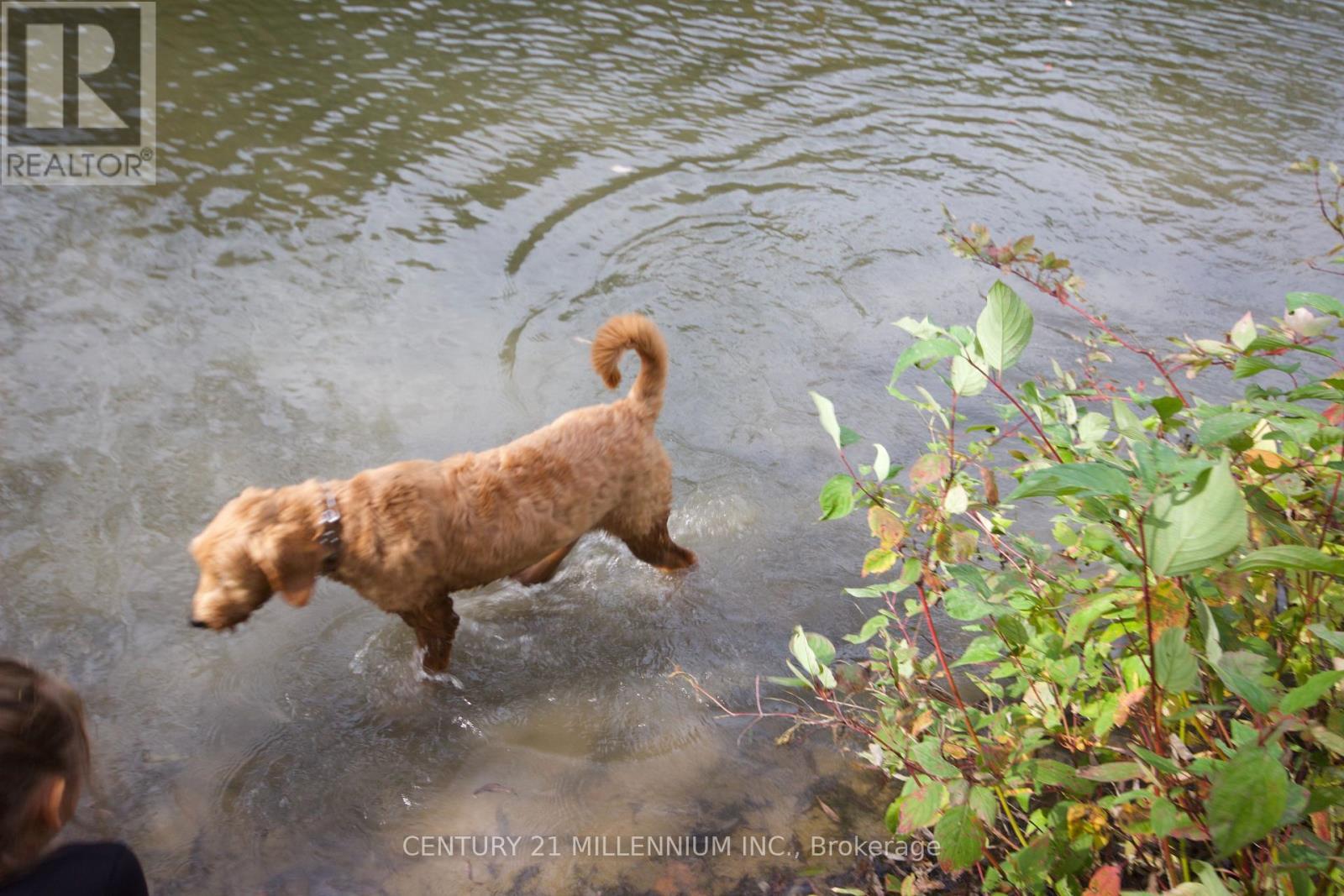 11 Knox Road E, Wasaga Beach, ON