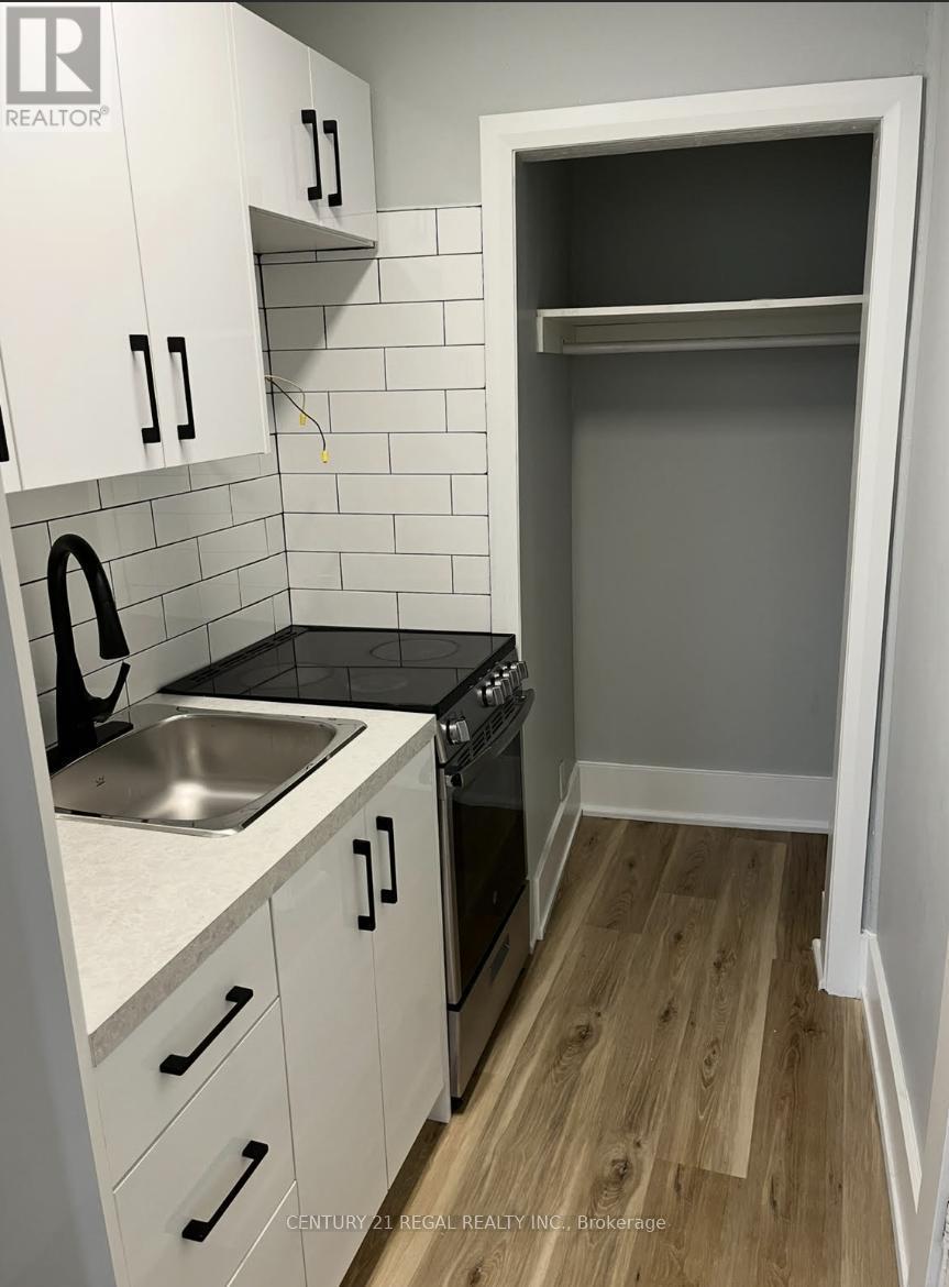 3A - 1502 King Street W, Toronto, ON - Indoor Photo Showing Kitchen